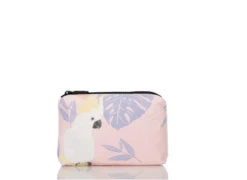 Mini Cockatoo Lounge Morning Song